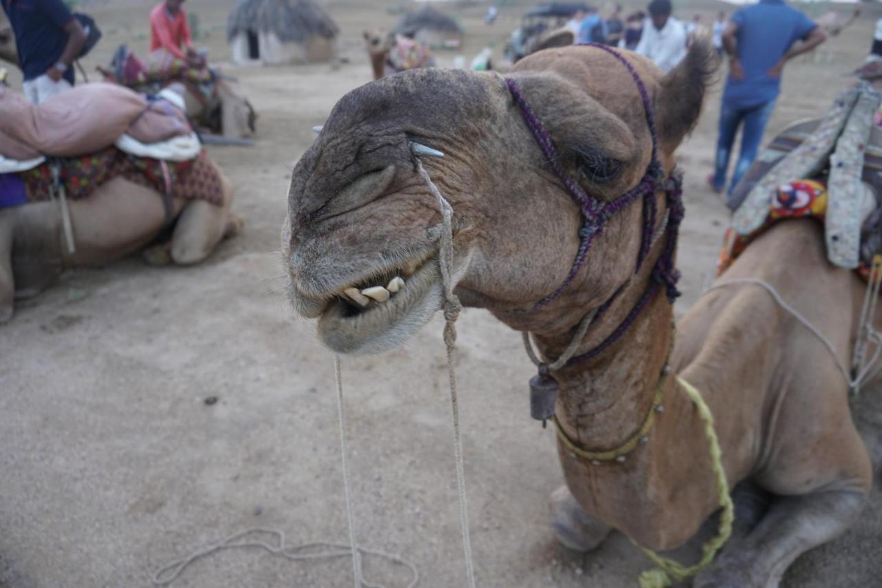 Journey Desert Camp Jaisalmer Ngoại thất bức ảnh
